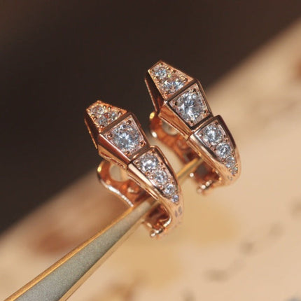 Collection image for: BVL EARRINGS