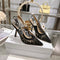Dior shoe