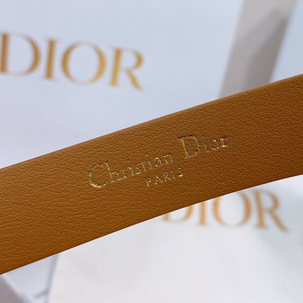 DIOR 26S BELT 20 MM IN BROWN SUEDE 635759