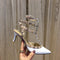 Valentino Shoe